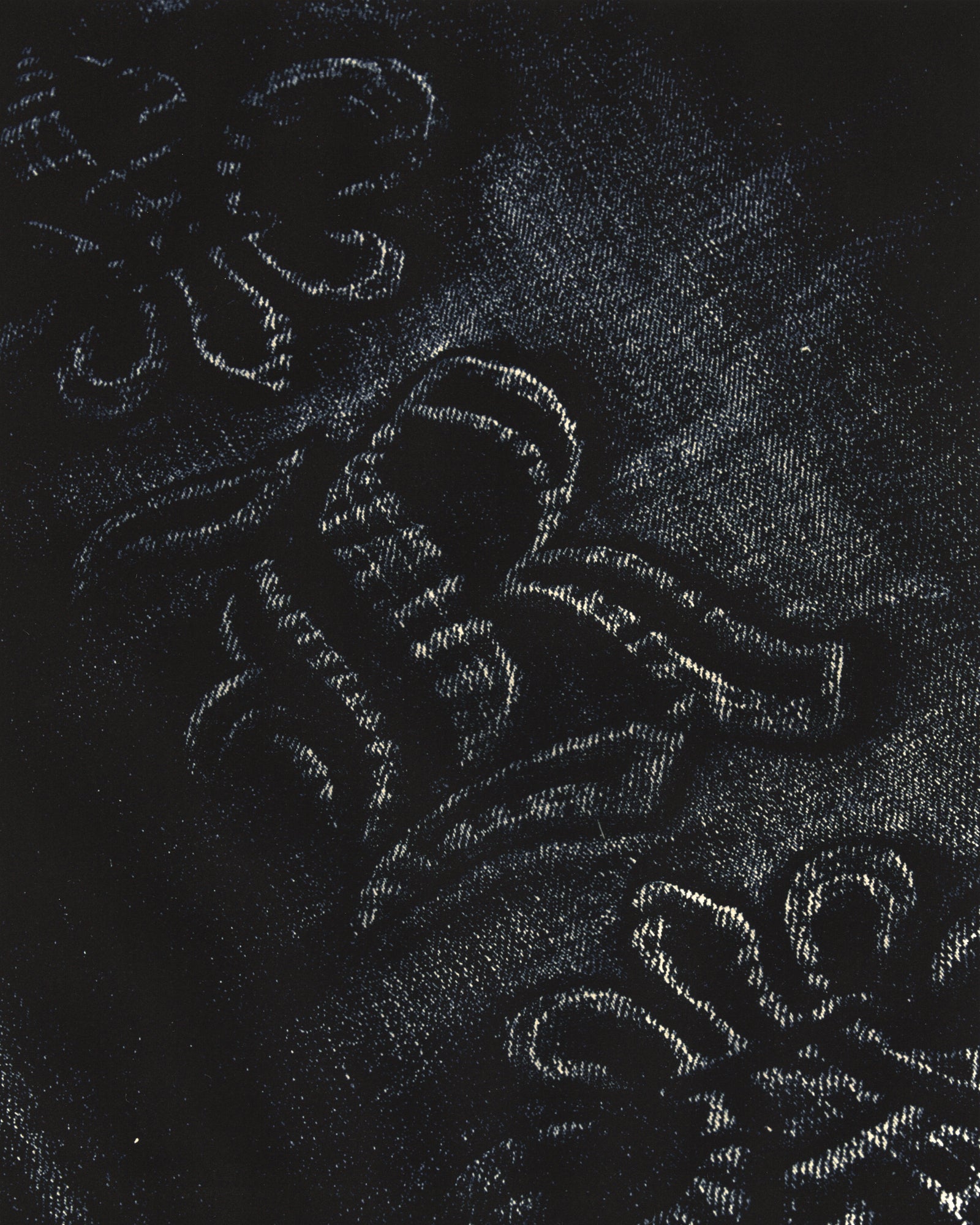 Signature-Stickerei und Struktur von Rock Revival Denim
